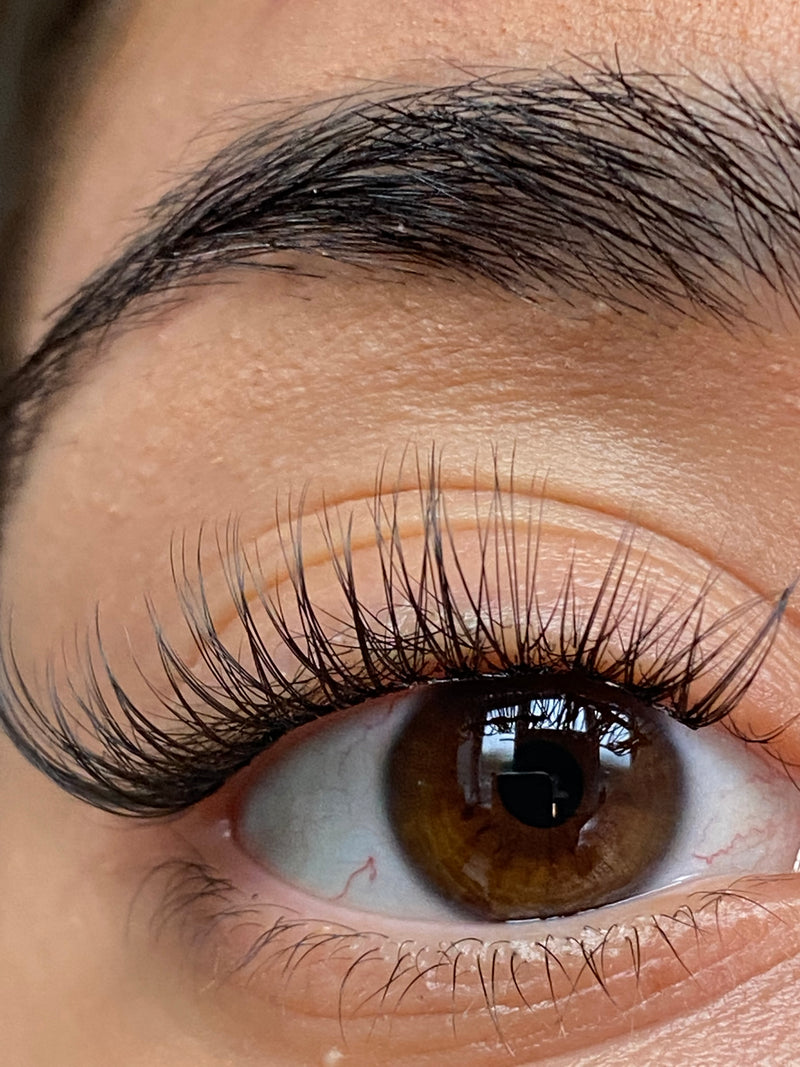 Classic eyelash cluster (tray only)